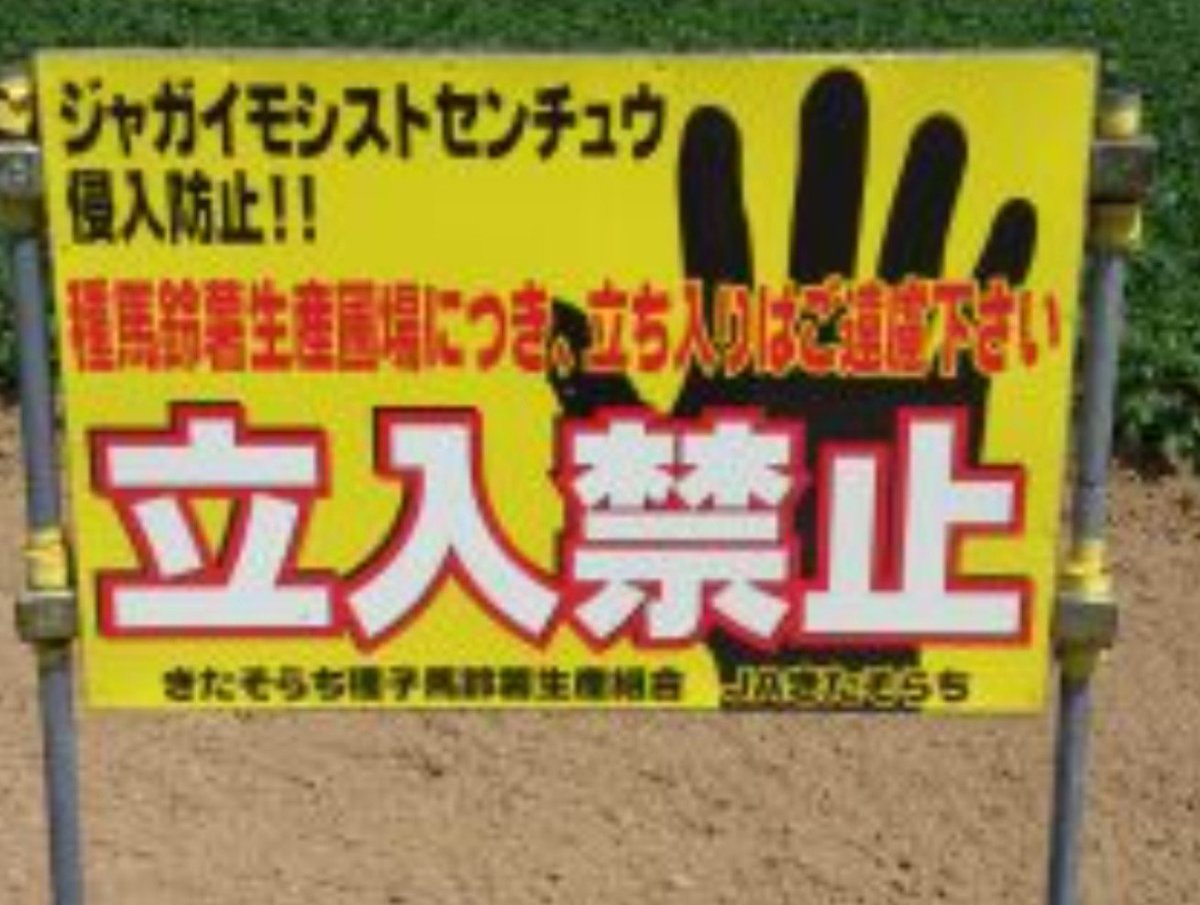 towaainutronica's tweet photo. 米国から土付きの芋なんて輸入したら北海道をはじめ日本の農業終わるとおもう
ジャガイモ、ナス、トマト、ジャガイモシスト線虫に土に入られたら十年は畑を使えなくなる
輸入に反対の方いたらぜひ輸入反対の署名お願いいたします
第一次産業護りましょう
#米国産の生ジャガイモの輸入に反対します https://t.co/KxatAt5QGK