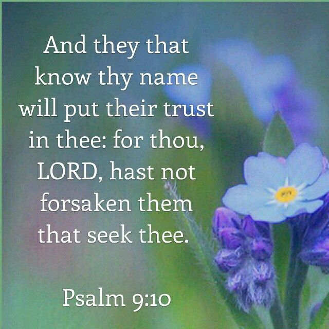 ElRoiShalom's tweet photo. #PsalmDelivery https://t.co/leuFDIZLIk