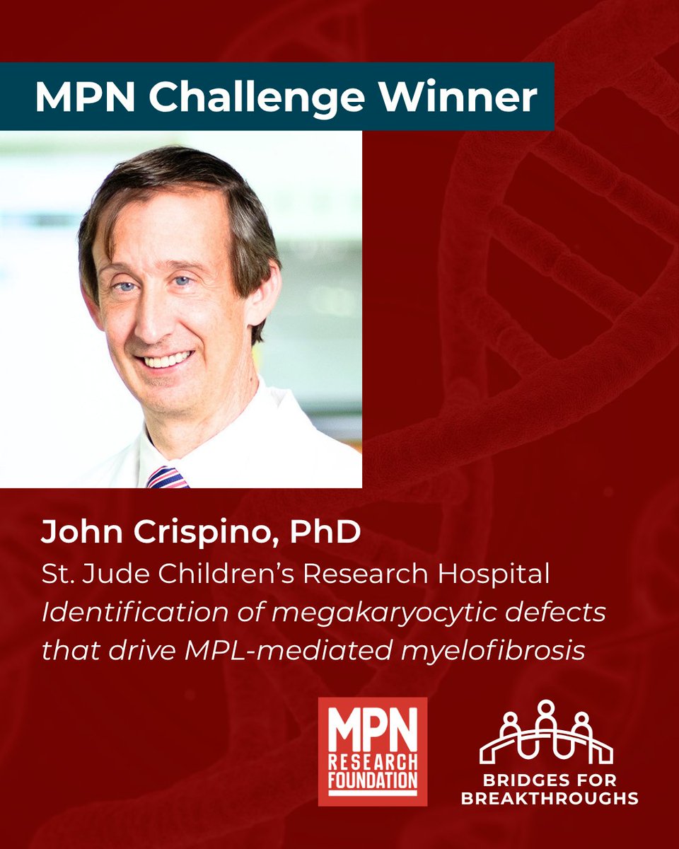 MPN_RF's tweet photo. 3/4

Congratulations to: 

Stefan Constantinescu, MD, PhD 
John Crispino, PhD 
Ricardo Fernandes, DPhil 
Angela Fleischman, MD 
Gregory Goldgof, MD, PhD 
Peng Ji, MD, PhD 
Jeanne Palmer, MD 
Daniel Royston, MBChB, BSc, DPhil https://t.co/mnx8W97rsU