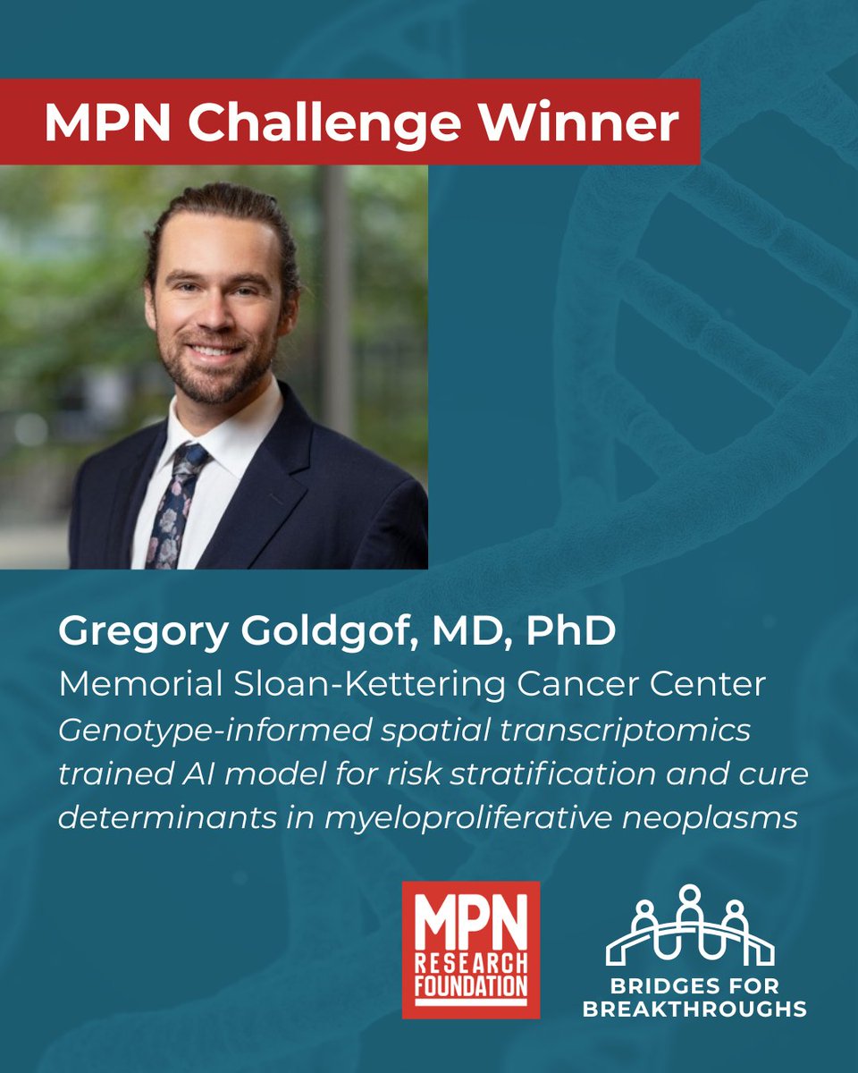 MPN_RF's tweet photo. (4/4) 

Their projects tackle major challenges in MPN research through disease biology, therapeutic discovery, translational science, biomarkers, and artificial intelligence. 

Explore the projects and their potential patient impact: 
https://t.co/xe3uzW8ILV https://t.co/vVkv1BSDPX