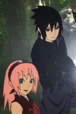 Sakura56998760's tweet photo. Canon que cuando viajaron juntos Sasuke le conto a Sakura a que edad perdió su primer diente y cuando le piso la pata a un gatito mientras Sakura solo reía y le decía que deje de moverse que lo está curando ✨💜🩷 https://t.co/g4anUSdfPZ