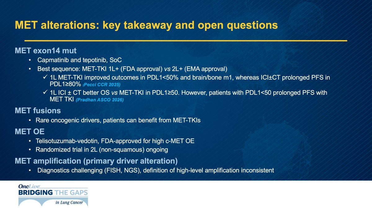 BTG Lung 2026 Seoul slide — MET alterations: key takeaway and open questions (Enriqueta Felip, MD PhD)