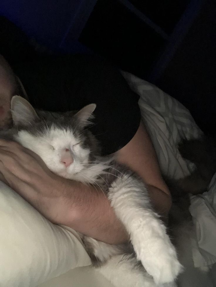 KINETICSPADES's tweet photo. ᅠ
     Oliver be keeping ol’ Gambit company. So I see you all in da’ mornin. 
ᅠ
                    
ᅠ https://t.co/93jZnYbD4A