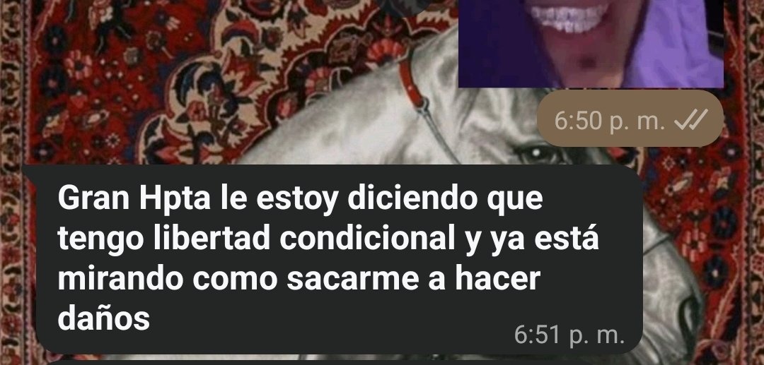 Santiagocr333's tweet photo. Ahora malo querer salir a tomarse una cerveza tss https://t.co/lKXaY15NmU