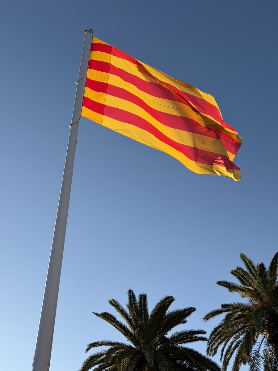 LauraBorras's tweet photo. “Un home i un poble només és derrotat quan accepta internament la derrota que li és proposada”,
Màrius Torres

Bona Diada!
Hi soc. Hi som.

Bona Diada! #Diada2026 https://t.co/gyEljNHNYW