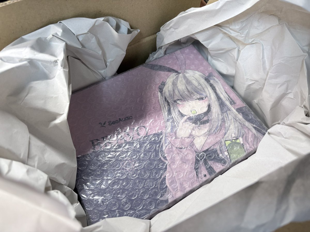 axanje's tweet photo. 出る直前にeイヤホンからの荷物が届きました。
開封は帰ってから❗ https://t.co/HnXxTbrdTZ