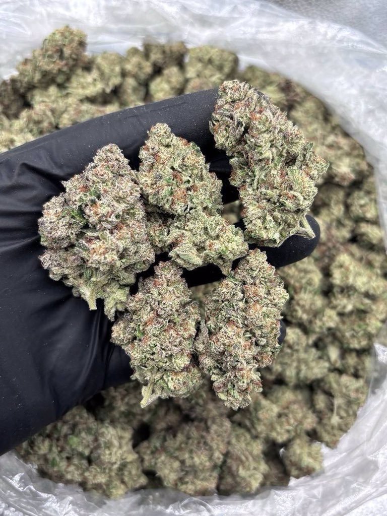 BastianElbauer's tweet photo. Buy loud gas Weed 420 Shrooms Coke Cocaine❄️ METH MDMA Adderall ketamine LSD THC vape Pen Cali hash DMT Edibles Bud vapes Carts Pills plug in Indianapolis
Jacksonville
KansasCity
LasVegas
LosAngeles
Louisville
Memphis
Miami
Milwaukee
Minneapolis https://t.co/coFC5WTwTY