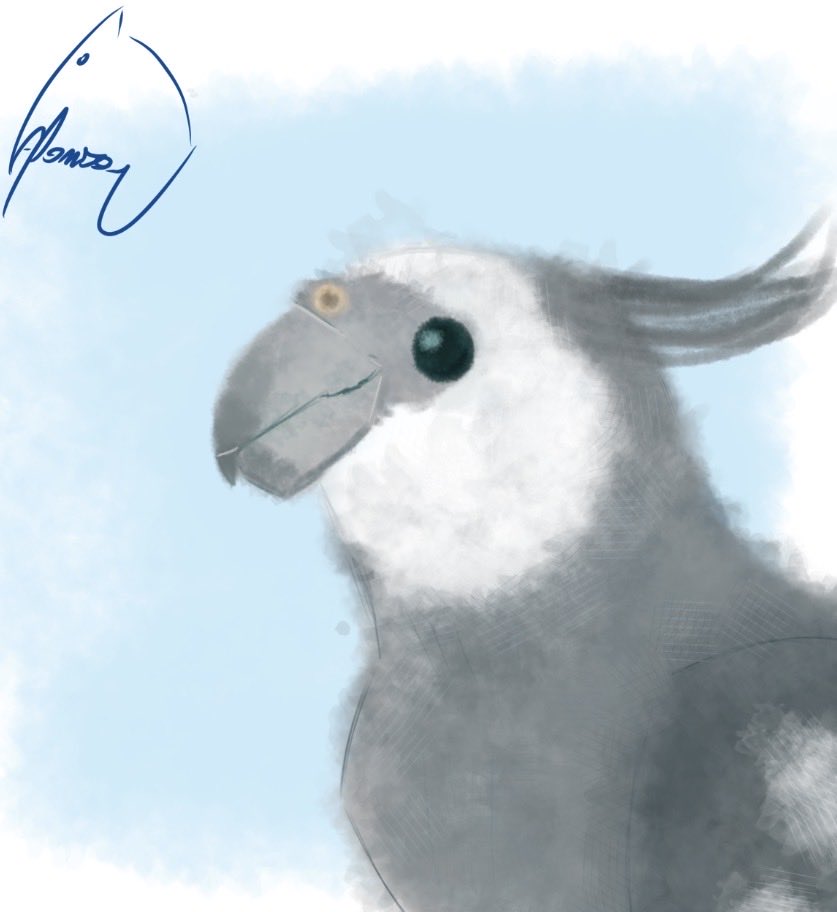 Afonsomano_'s tweet photo. @NovaxVtuber 💙Birds💙 https://t.co/8C13teza2R