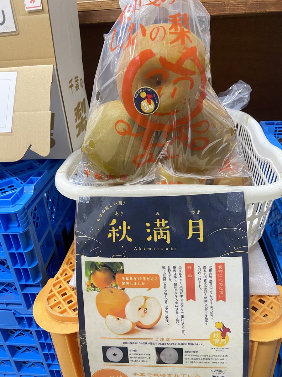 ohnoorchard's tweet photo. \品種紹介：秋満月(千葉K3号)/

2021年デビュー、千葉県生まれの新品種。
果実は平均700gと大玉で、柔らかく滑らか。
酸味は少なく上品な甘さ。果汁が豊富でとてもジューシー！
「秋満月(あきみつき)」は愛称で、正式名称は「千葉K3号」
流通量はまだ少なく、千葉県が12年かけて開発した新ブランド梨。 https://t.co/C1HmKeNUrK