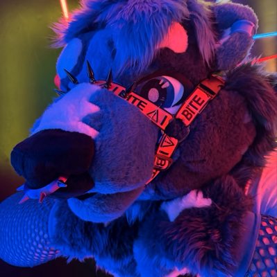 Blueberry_Kuma0's tweet photo. #NewProfilePic https://t.co/yCNpVge2pZ