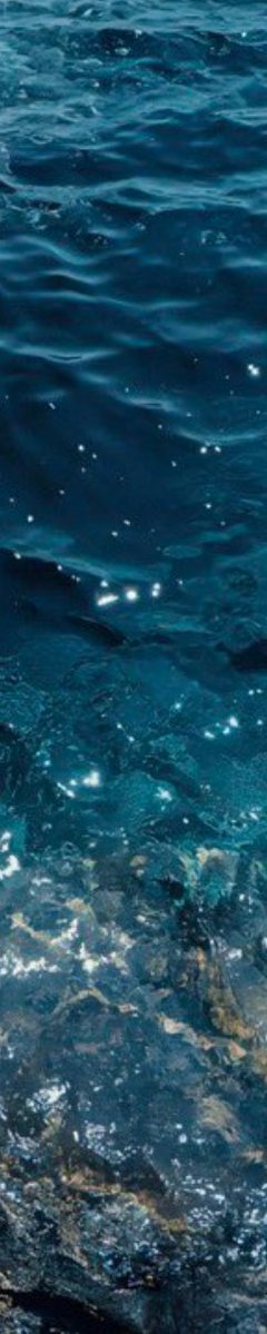 calmlivng's tweet photo. ocean blue 🫐🌊 https://t.co/CLxDWZua8w