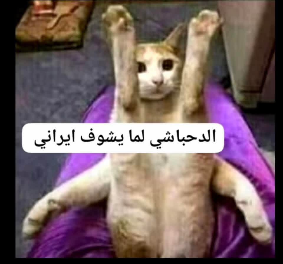 dhm1294450's tweet photo. @Huseinalfdl كذاب يلعن ابوك على ابوه من جابك ولا في واحد منهم ولا اسرهم في المطار والله انهم معززين مكرمين بيننا واكثرهم تم منحهم بيوت اشخاص لكي يسكنوا فيها ولم يتزحزحوا ولن يشردوا ولن نسمح بالمساس بهم اما انت مجرد حوثي من تحل شخص جنوبي ومسوي فيها انك كاشف الامور ما فيش اي رحلات حاليا ياحثاله https://t.co/ojqqP77D0c