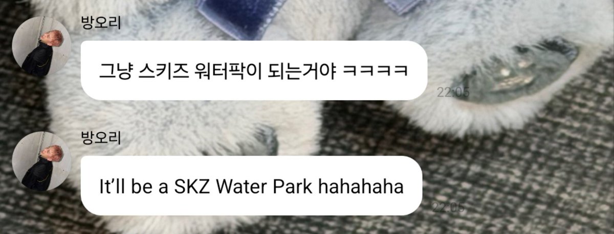 realskzoo's tweet photo. 🐺: Será un parque acuático de SKZ ㅋㅋㅋㅋ https://t.co/4vmlAnnhQg