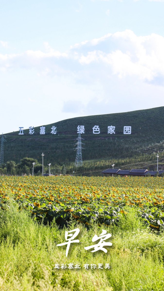 wangwang1917839's tweet photo. https://t.co/qyssLESOdY