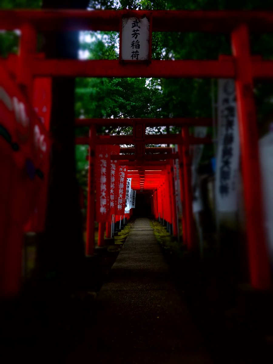 NyakaeOchibico's tweet photo. 赤
#thissummer 2026
#streetphotography
#japan_daytime_view https://t.co/thttJPYJ8e