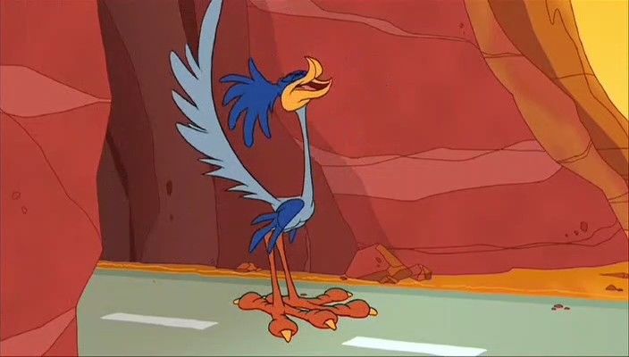BirdLover222's tweet photo. Just
↓        ← ← ← ←

↓         ↓              ↑

↓         ↓              ↑
here →   →   →   →  →  →   to say
                             ↓

                             ↓

                             ↓
               I love Road Runner https://t.co/I3uR2J65ms