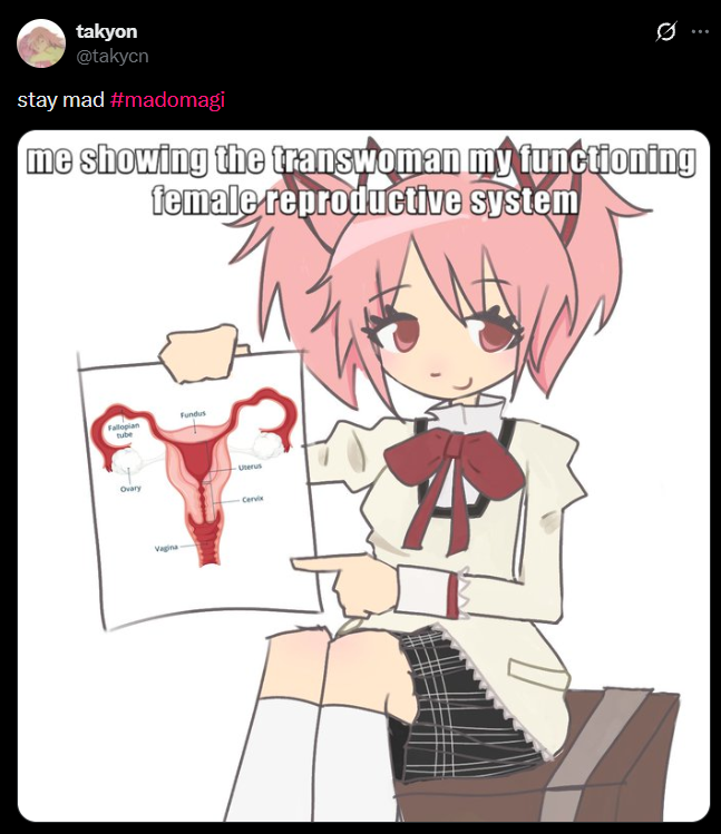prenee_colon3's tweet photo. girl no shade but, how will you show a trans woman your "functioning female reproductive system", if you do not have a "functioning female reproductive system"? https://t.co/HJZd0pDMpx
