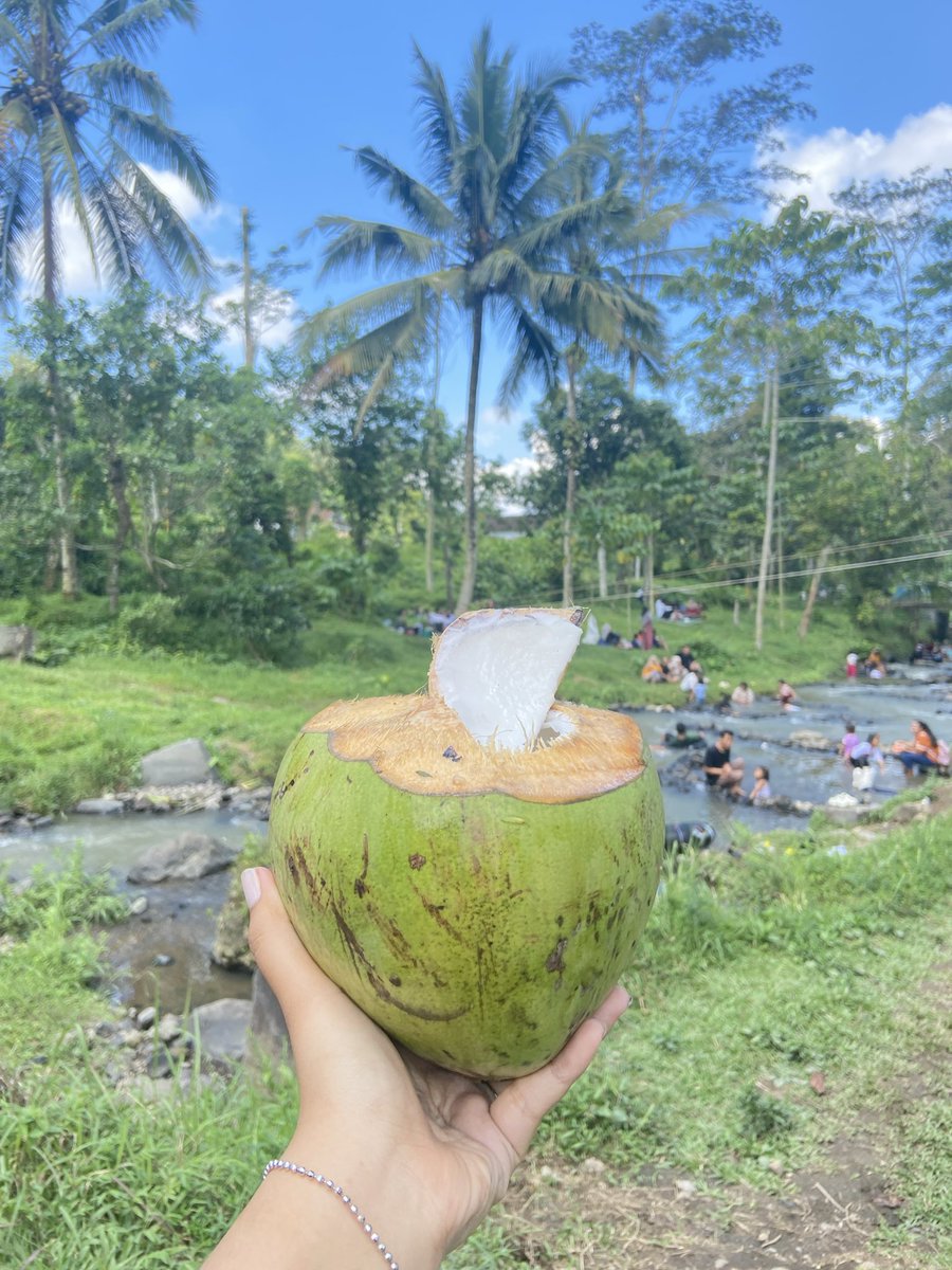 prettydumpsh's tweet photo. nature🌴🥥🌞
#blitar #jawatimur https://t.co/YdJaJWlYke