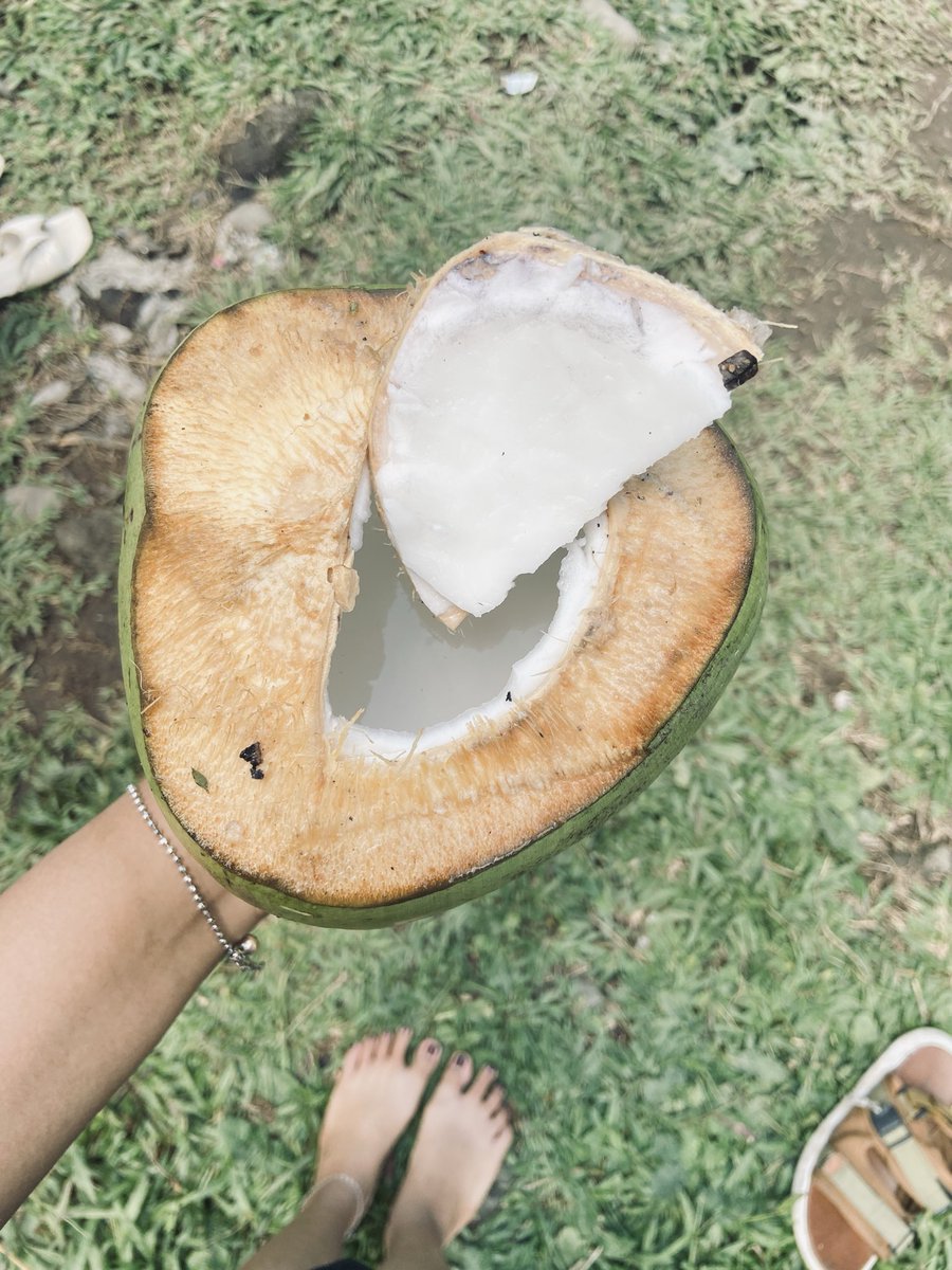 prettydumpsh's tweet photo. nature🌴🥥🌞
#blitar #jawatimur https://t.co/YdJaJWlYke