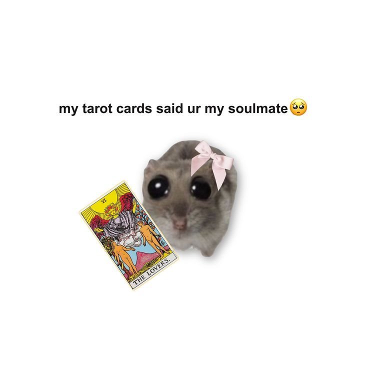 miraetarot's tweet photo. https://t.co/pGolc7SSx8