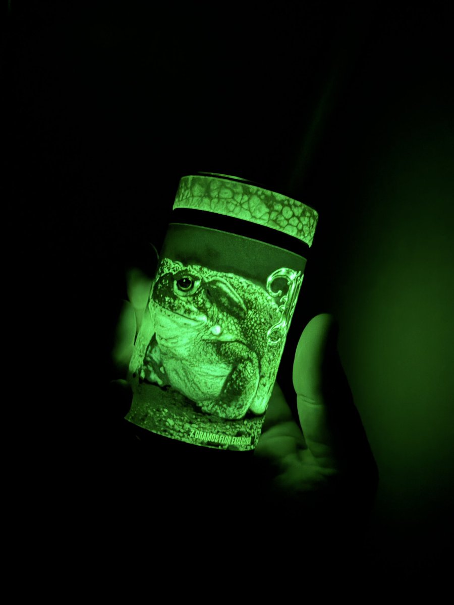 terplandia's tweet photo. Are you locked in? 🐸 https://t.co/qlpoHzk3oK