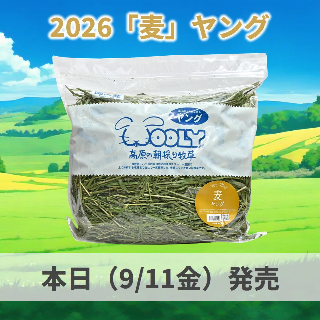 うさぎ専門店ラッキーハート on X: 