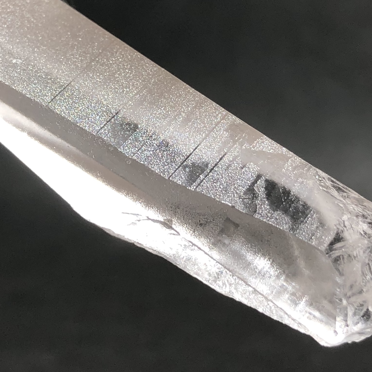 Crystal_Studio1's tweet photo. ブラジル産の水晶単結晶

横向きの条線の間に、三角形のような模様が見えます。
トライゴーニックとは異なりますが、石に刻まれた記号のようにも見えます。見る人それぞれに、新しい意味が生まれるのかもしれません。

出品ページはプロフィールのリンクから

#水晶 #天然石 #鉱物 #CrystalStudioOne https://t.co/GO7XBAqsRR