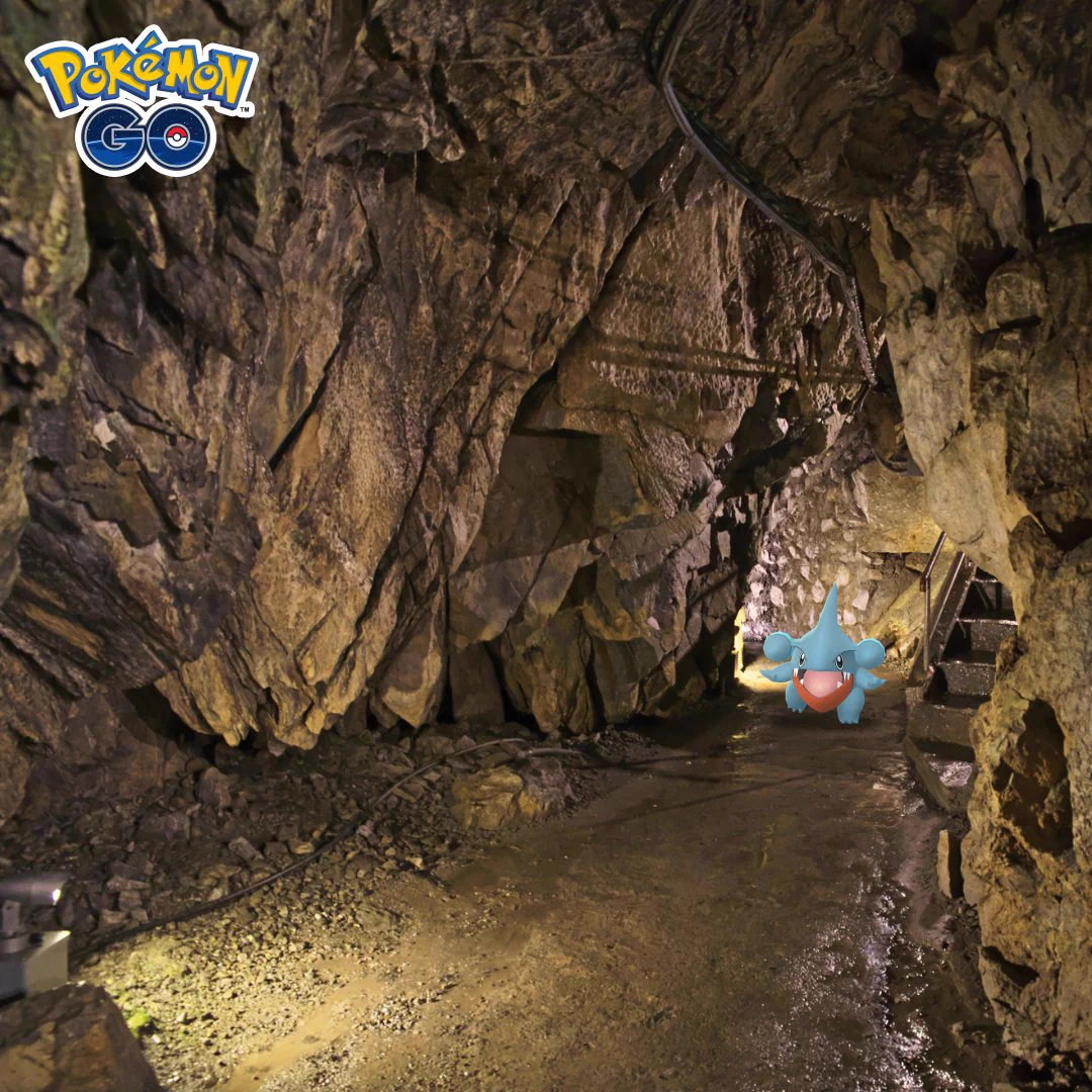 Pokémon GO Japan on X: 