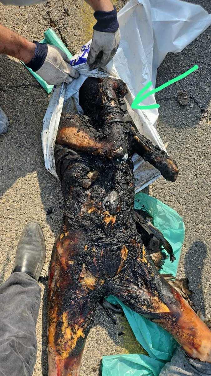 EstrateMilitar's tweet photo. Cuando hablas de genocidio, ¿te refieres a esto…?

¿Qué crees que es más difícil: ser española, ser marroquí o ser mujer?

El 7 de octubre, cuando la ataron, la violaron y la asesinaron, a sus verdugos de Hamás no les importó ninguna de esas tres condiciones.

¿Te enteras ya? https://t.co/zpNxM7fH2k