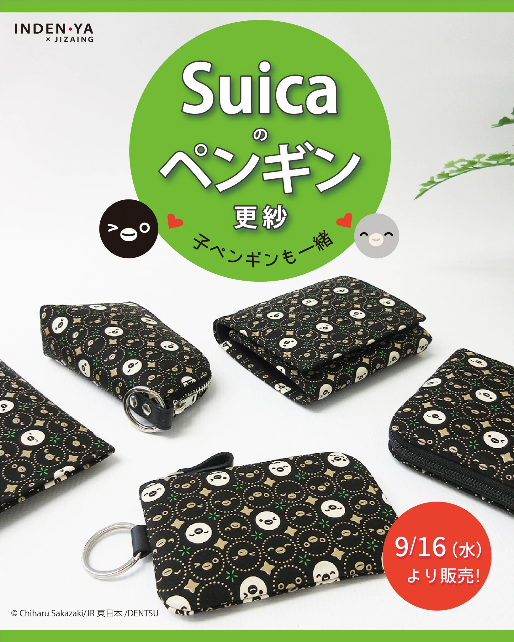 HR64kOUa8AA_SWz?format=webp&