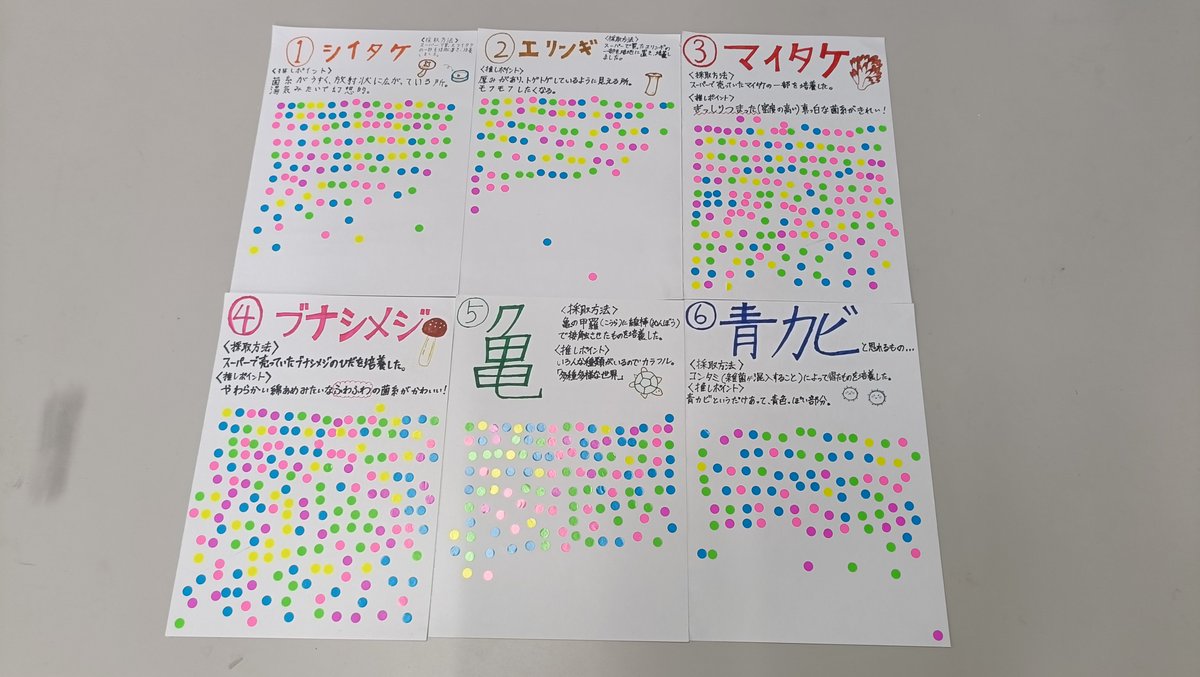 YSF_NSC's tweet photo. 蒼煌祭のご来場誠にありがとうございました！！！！！！！！！！！！
微生物班の推し菌投票の結果は……マイタケが1位を獲りました！！！！！！！！！！！！！！！！！！！！！！！！！！！！！！！皆様のご投票に盛大なる感謝を！！！！！！！！！！！！！！！！！！！！！！！！！！！！！！！！！！ https://t.co/FMvK4F0ng2