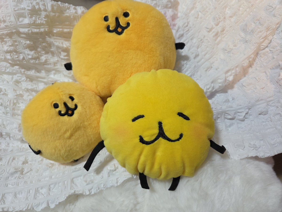 mominotya's tweet photo. 大家族🟡✨  #にじえも https://t.co/D4xzvvV1ah