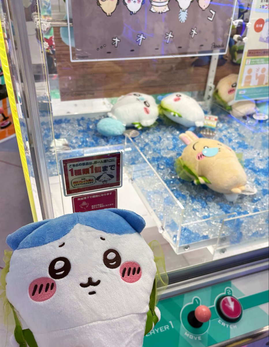 sqrq617's tweet photo. 昆布締めハチワレ、1200円で取れた✨絶対にほしかったから1万円握りしめていったけど、はやめに取れて本当によかった😿💕そのかわりぷっくりったいクリップはシーサー、ハチワレで4000円🥹昆布締めより高いヘアクリップ、かわいいから🆗です︎︎👍🏻︎︎

 #ちいかわ https://t.co/fncDJkgGUf