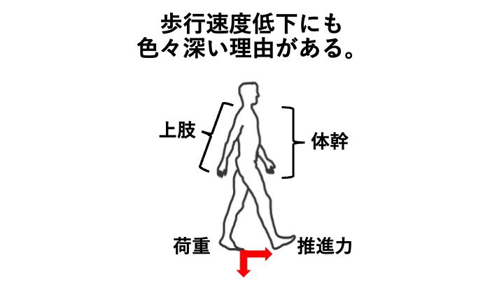 syupoon2024's tweet photo. 【歩行再建セミナー2026 第3回のご案内】

9月30日（水）は、東北大学の関口雄介先生@SekiguchiYusuke をお招きします。

関口先生は、日本神経理学療法学会 戦略的課題解決委員会「脳卒中歩行障害班」の班長を務められています。

今回のテーマは、歩行のkinematics・kinetics。

バイオメカニクスに興味のある先生方には、必見の内容ではないでしょうか。

「歩行速度低下にもいろいろ深い理由がある。」

どのようなお話が聞けるのか、とても楽しみです！

過去回のアーカイブもありますので、ご登録いただくと高橋先生、中谷先生の講義もすぐにご視聴いただけます。

#歩行再建
#バイオメカニクス
#シュポーンセミナー
