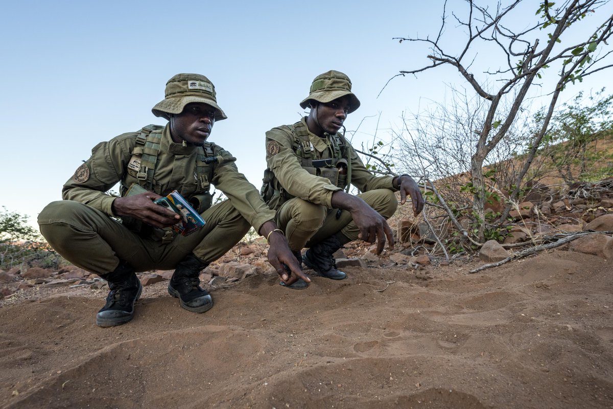SRTNamibia's tweet photo. Support the Save the Rhino Trust team by donating to our fundraiser. Your contribution directly supports our rangers and helps us continue our vital rhino conservation work.

Donate here: https://t.co/lYYvP69shD

Photo credit:  Marcus Westberg https://t.co/Bz34V17YYk