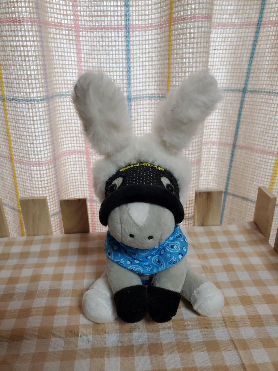 Verde_010101's tweet photo. Seriaで買ったぬい用カチューシャが、アイドルホースSサイズにぴったりな件😄
レーベンちゃんにはピンクのケープを。 https://t.co/7nrPiUyTas