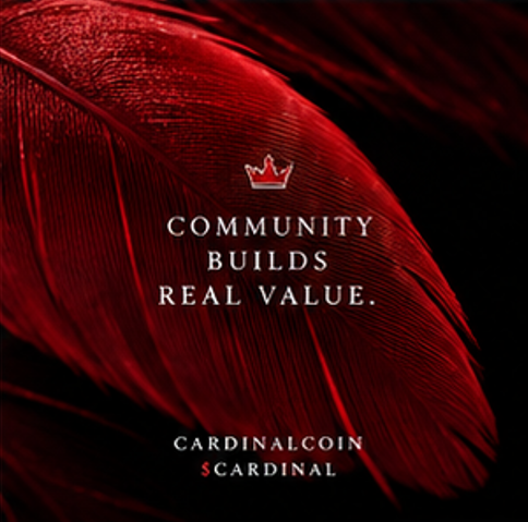 Cardinal_Coin1's tweet photo. just the beginning baby! #crypto #CryptoTrader https://t.co/Lh3KTnxbK6