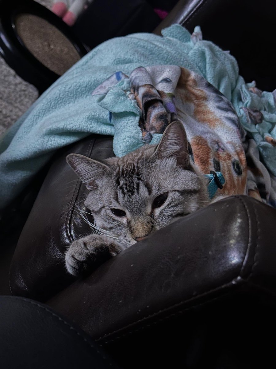 30Nini's tweet photo. My muse. Tell him he’s handsome right now! https://t.co/Zt1UXweM3w