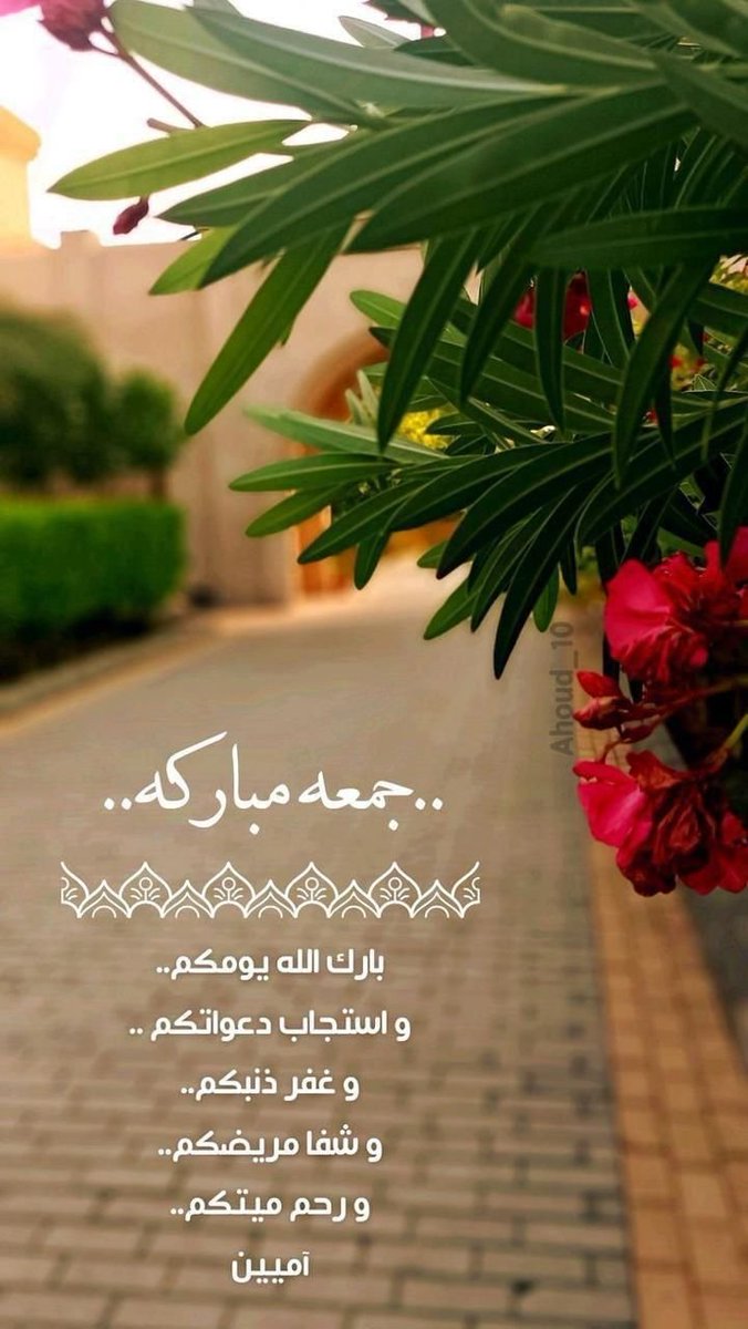 201ultan44000's tweet photo. وأعظمُ شيء أن تُصبحَ راضيًا عن كلِّ شيء،  ساعيًا بالرّضا، مُحسنًا ظنّك بالله ، آملًا بالخير 
اللهم صباح خير ويُسر 

#جمعه_مباركه https://t.co/wXa9XoUqOC