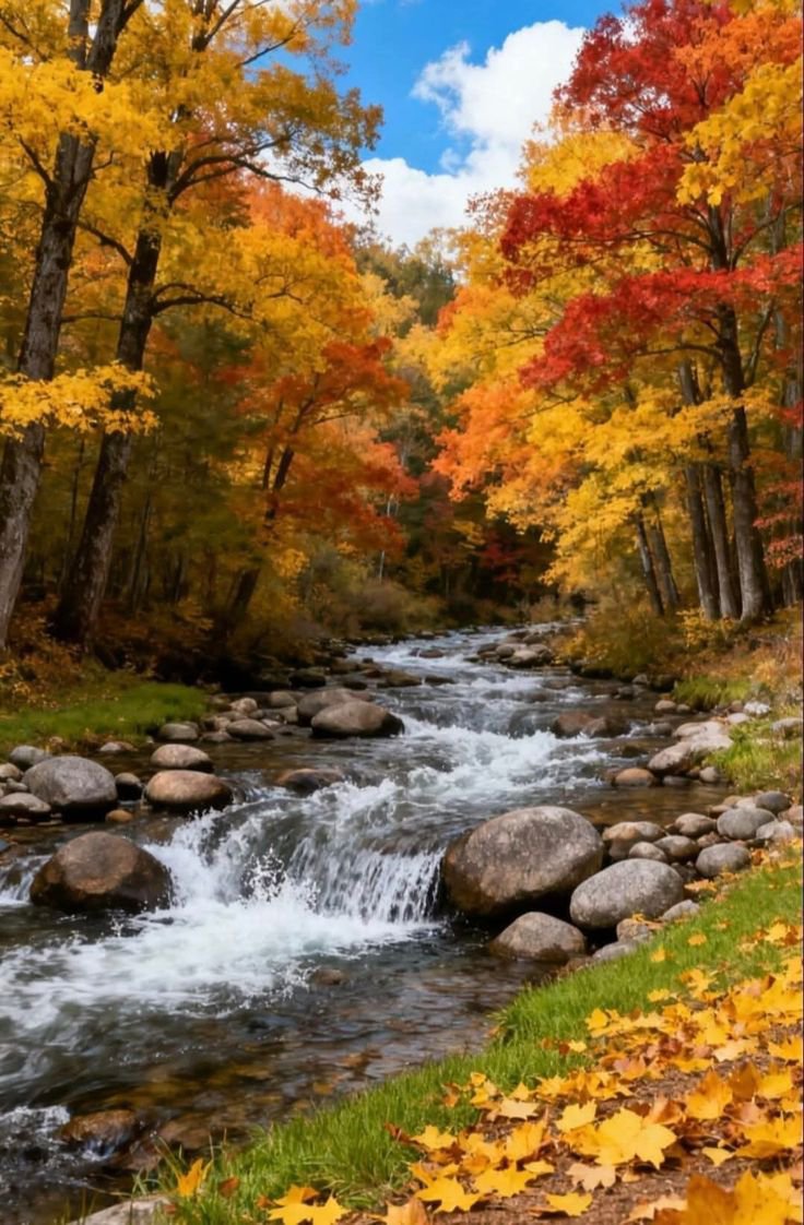 Earth_Whispers_'s tweet photo. Autumn 🍁 indicate the rules of nature..

The rules of nature so beautiful and reality 😍..
#momsonnn 
#BeautifulNature 
#Beauty https://t.co/LFzZwBrEgU