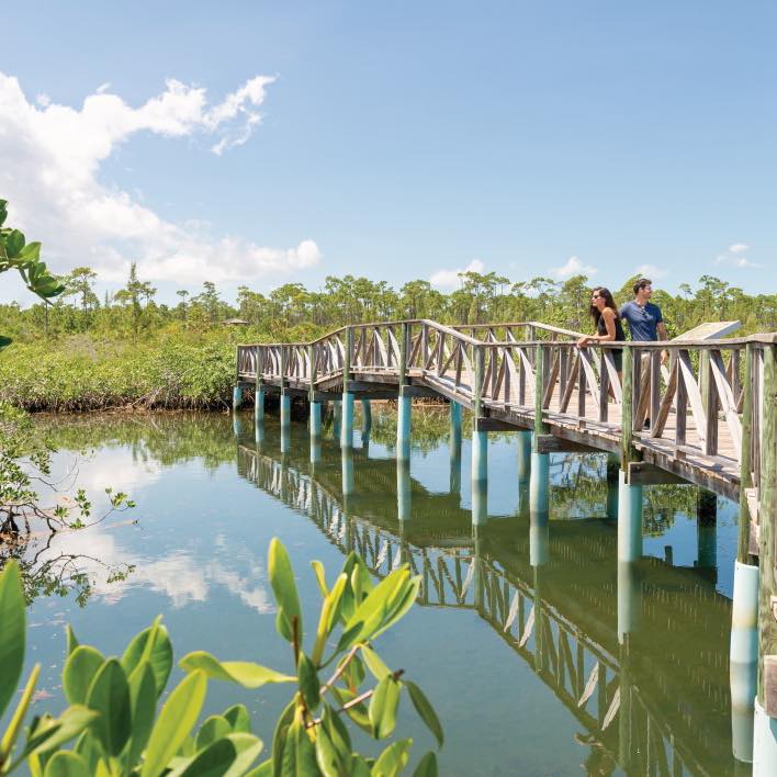 Lester_Farrand's tweet photo. Beyond the beaches, Lucayan National Park offers mangrove boardwalks, underwater caves, and stunning Gold Rock Beach. This September, Sarah and I can’t wait to explore Freeport and share the journey with you. https://t.co/ozGd5BmQpk