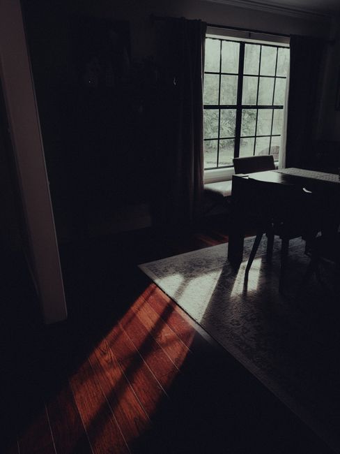 scottstra5wl's tweet photo. Real stillness. you needed calm begins here You don’t realize how much marisa tippery🫘 https://t.co/Jc5xlIo1E6