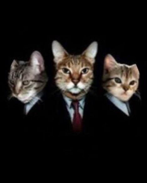 justlDay's tweet photo. el mctrio gatitos ju

#mctriofanart #roierfanart #aldogeofanart #elmarianafanart https://t.co/bfqVQZGgB6