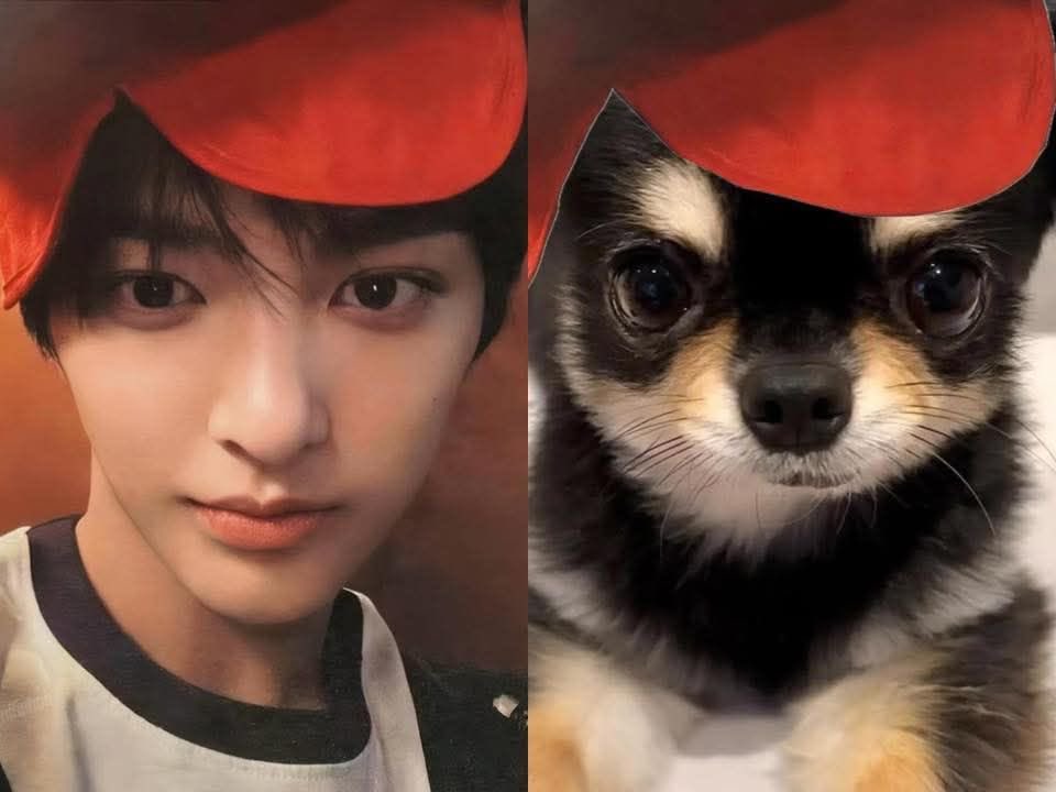 b1uevalentinex's tweet photo. https://t.co/WaoNIWpE9X