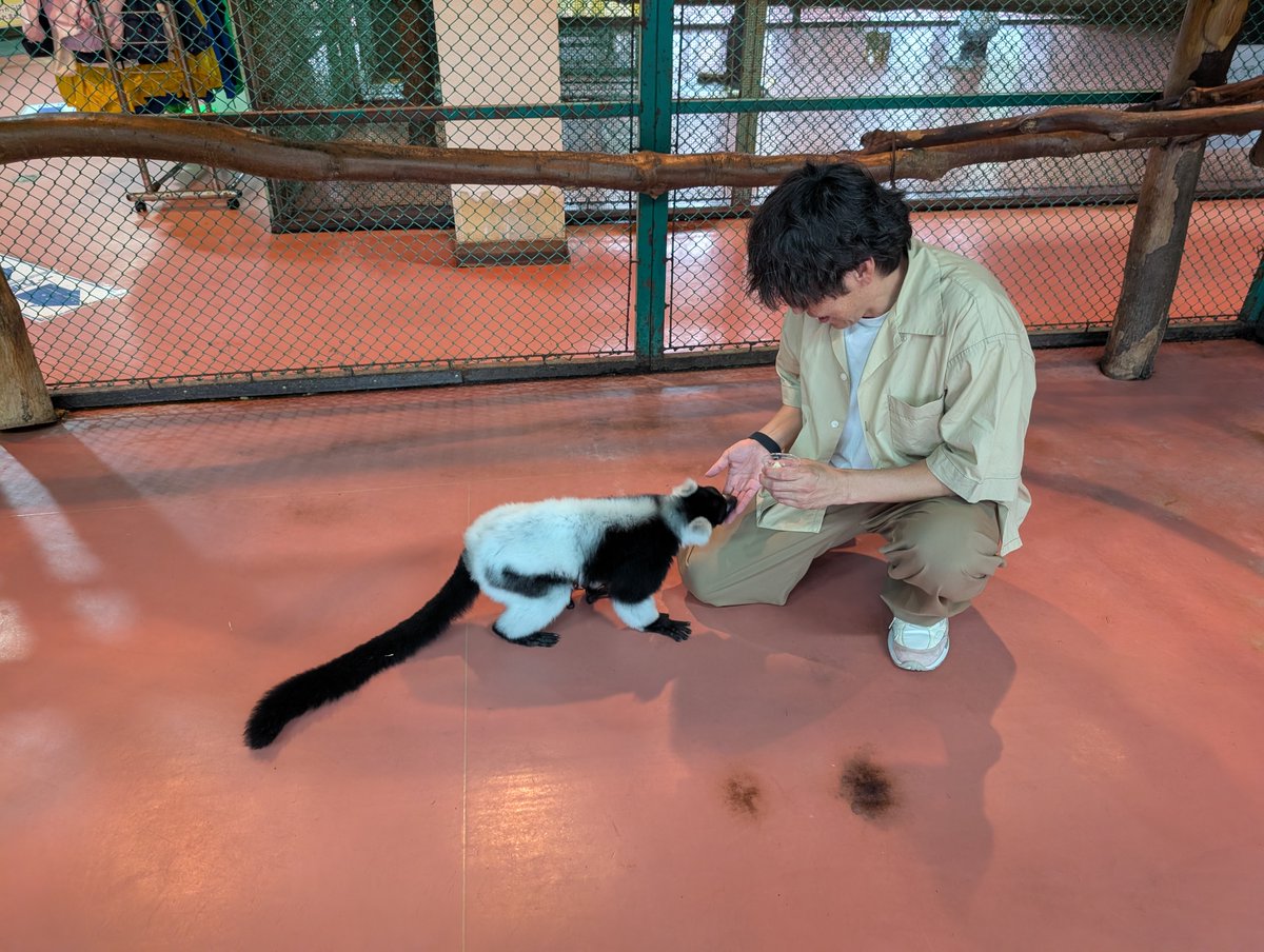 fukushimafm's tweet photo. 〰〰〰〰〰〰〰〰〰〰〰〰〰〰〰
  impress -GOOD FRIDAY- 
   秋のお楽しみスポット情報🐵
〰〰〰〰〰〰〰〰〰〰〰〰〰〰〰
DJイタルです🎤

いやー楽しかったです。
那須ワールドモンキーパーク🐒
お猿さんだけじゃないんです！
ゾウもヘビもレッサーパンダも！
みんな穏やかで癒されます。笑
エサやり体験もテンション上がります♪
ぜひお出かけ下さい！
#金プレス 
#那須ワールドモンキーパーク