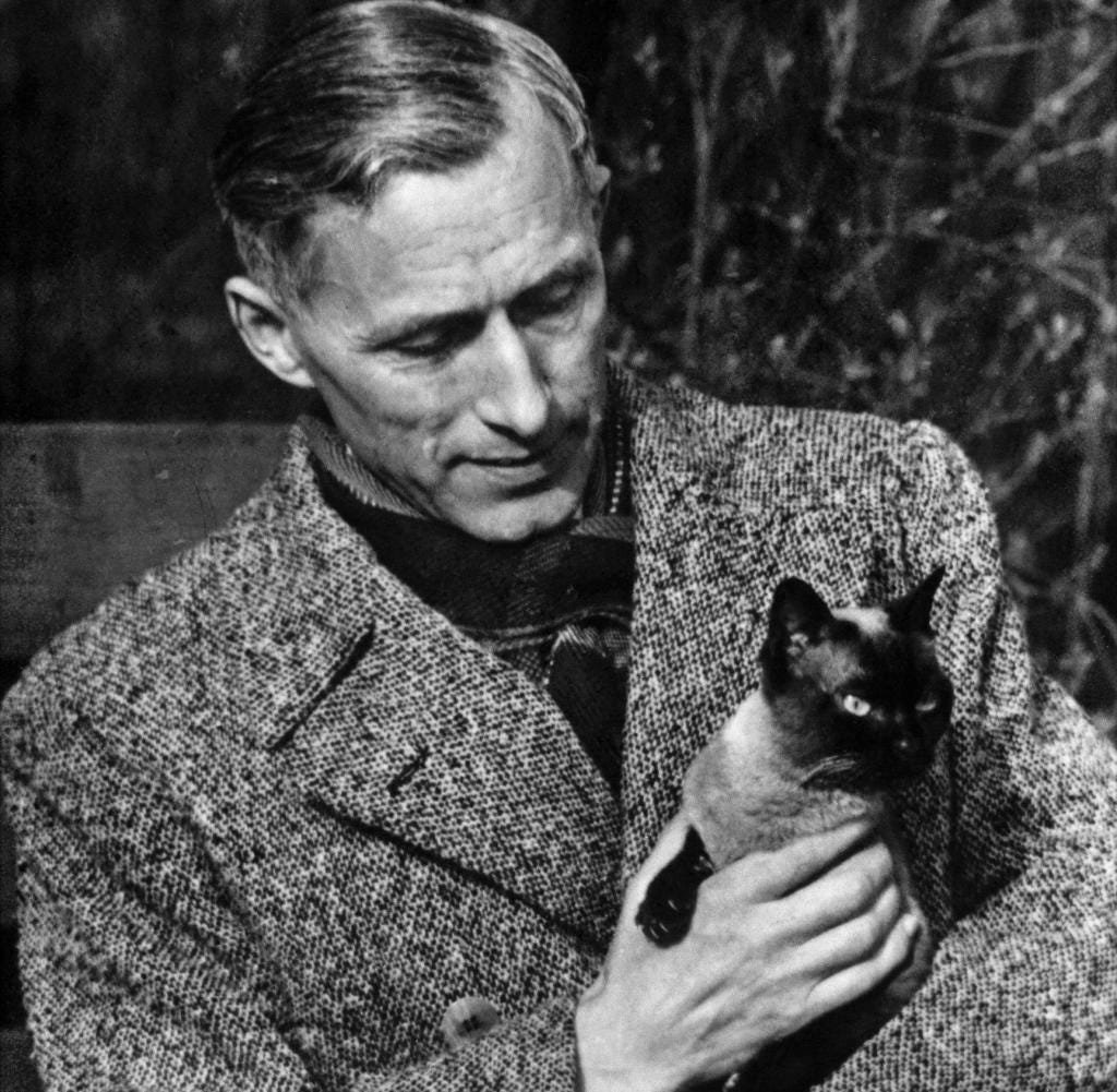 constantinvonh's tweet photo. “Today only the person who no longer believes in a happy ending, only he who has consciously renounced it, is able to live. A happy century does not exist; but there are moments of happiness, and there is freedom in the moment.”

— Ernst Jünger, The Glass Bees https://t.co/19p5Eq4bbo