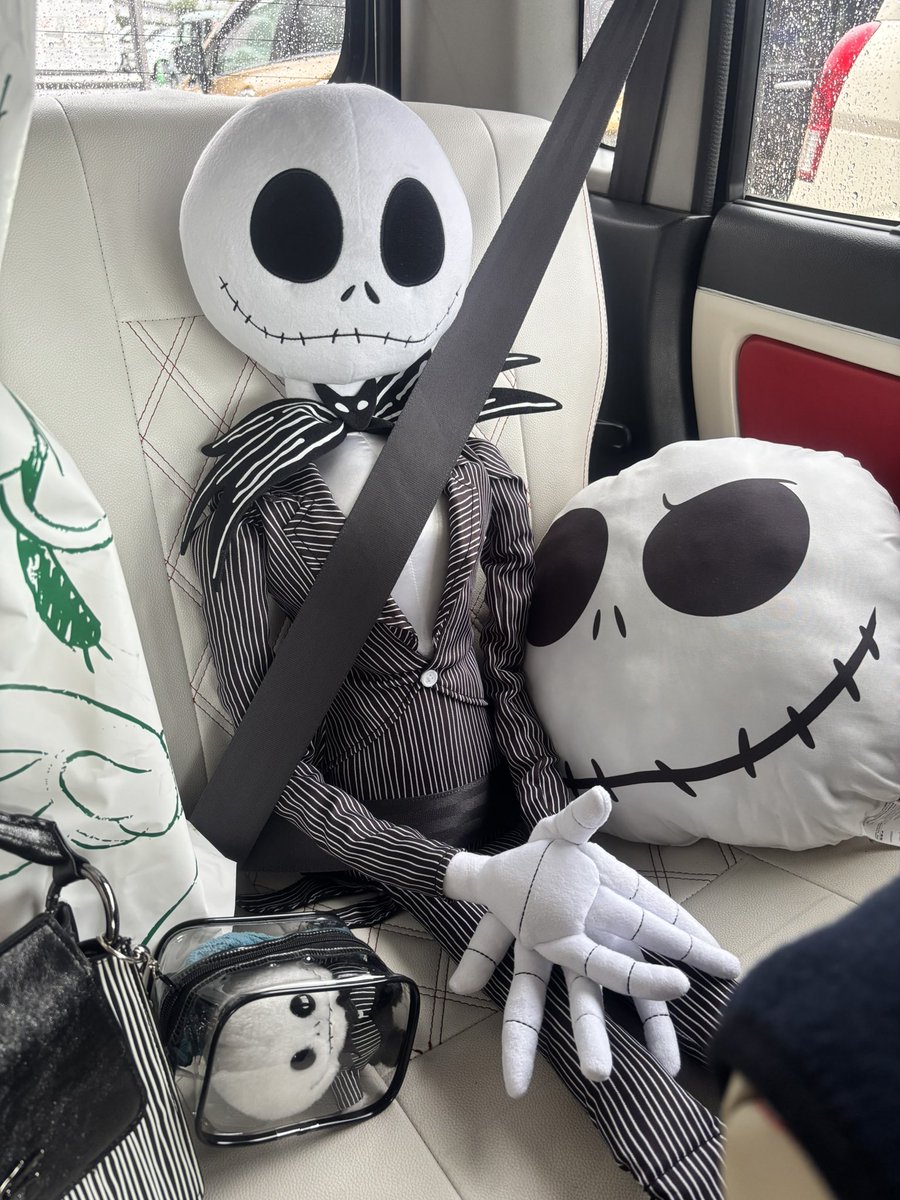 Noyaaaa__41's tweet photo. ぬいにシートベルトしたの初めてだよ https://t.co/2OefabgCiU