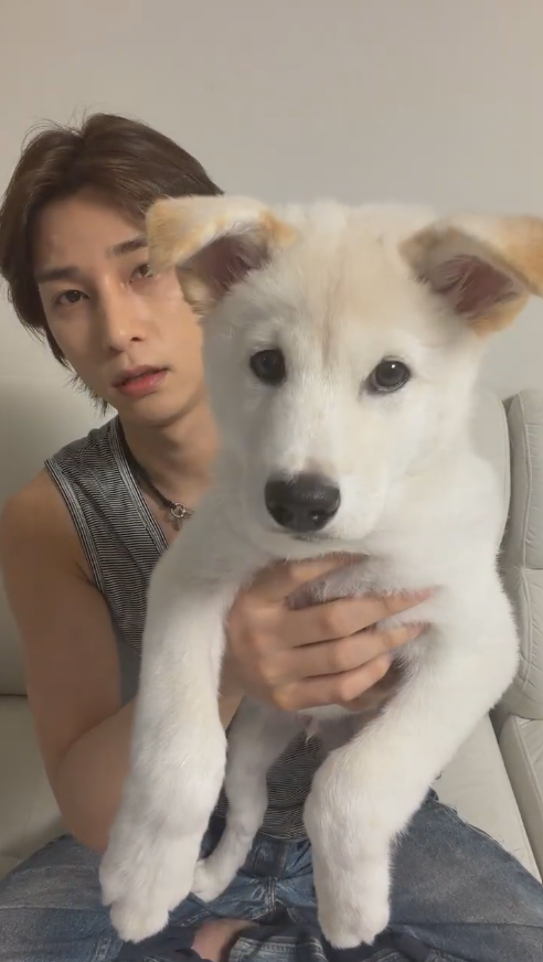 GYULIEverse's tweet photo. [Thread] 070926 #LEEHANGYUL InstaLive - ENG Translation

#이한결 #ハンギョル #李翰洁 https://t.co/1oYWycm9VW