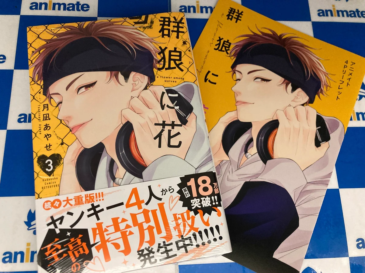 ☆特典付き☆BLコミックスセット 2月3月新刊 アニメイト名古屋 on X: 