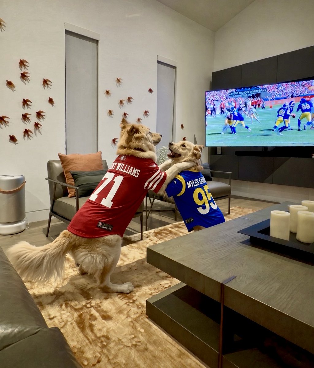 SiliconPM's tweet photo. @NFLMemes https://t.co/Sh6XaPMh3O